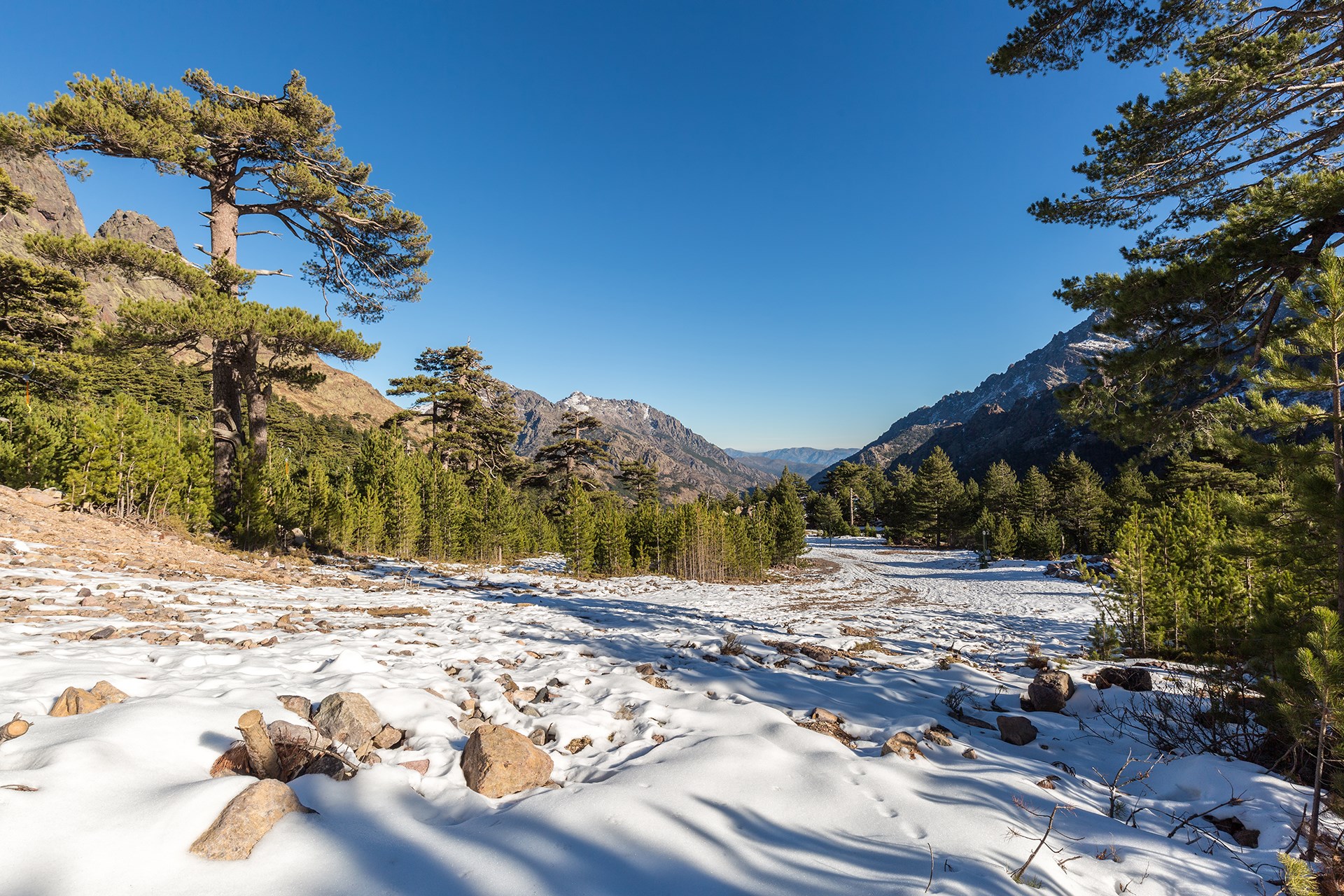 img:https://www.thethinkingtraveller.com/media/Resized/Corsica various/Towns and places/Asco/1920/shutterstock_352002191.jpg